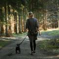 7 Things to Know When Walking Your Dog